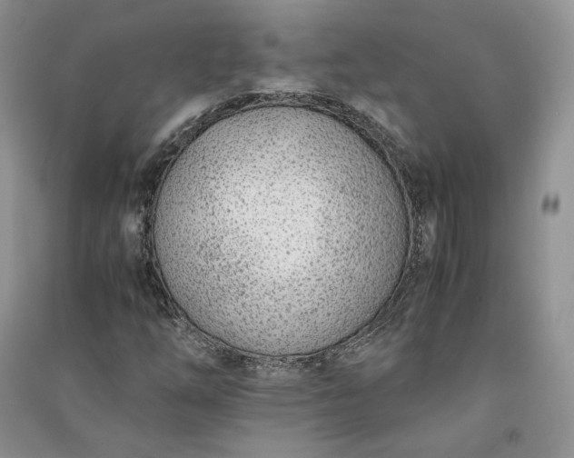 X0000090901254200708131345