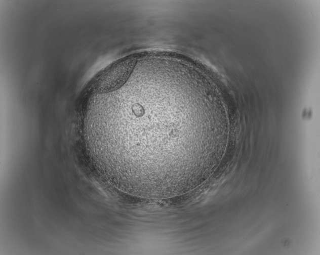 X0000090901255200708131345