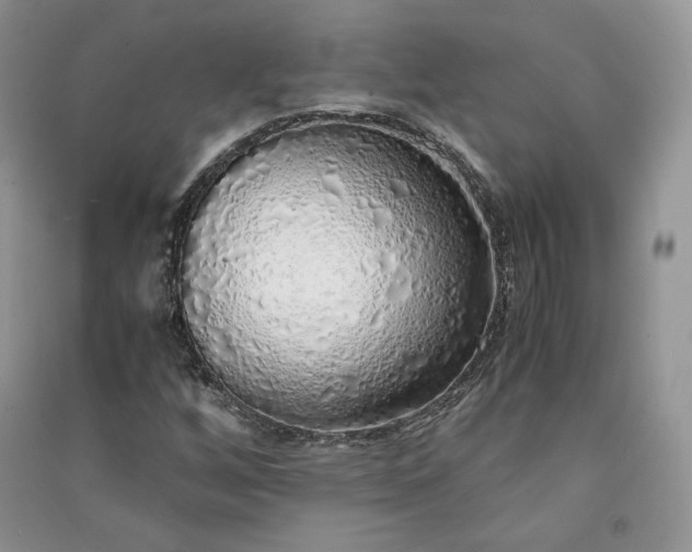 X0000090901256200708131345