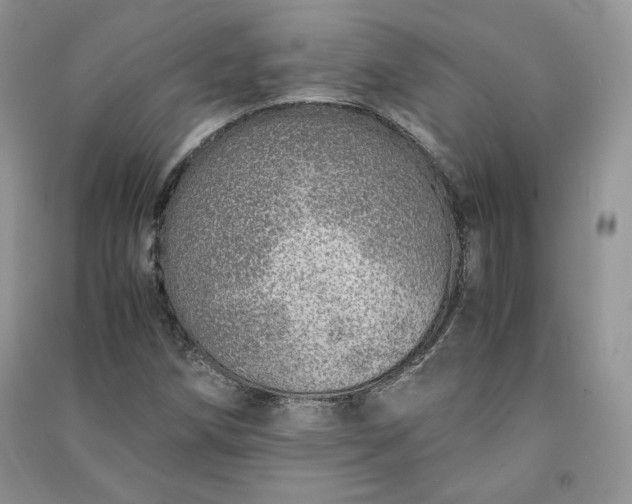 X0000090901258200708131345