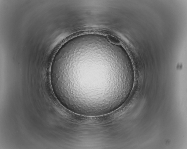X0000090901259200708131345