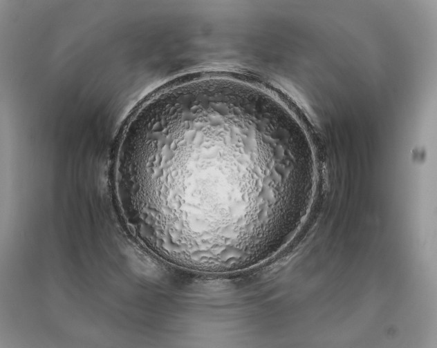 X0000090901260200708131345