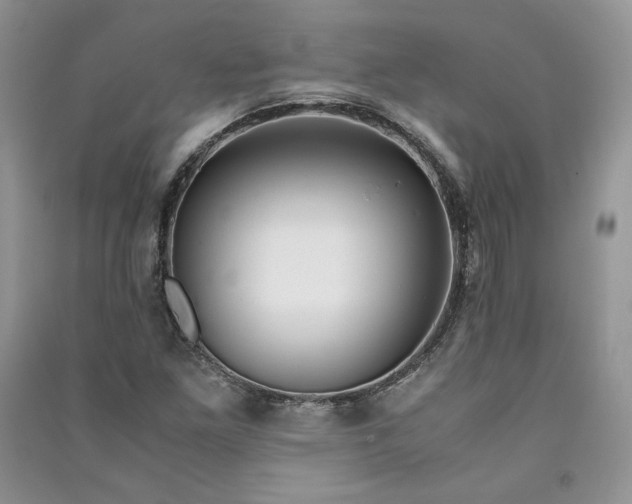 X0000090901261200708131345