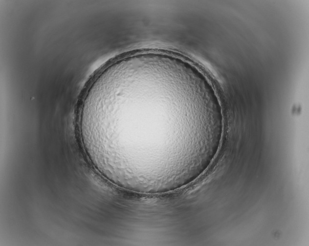 X0000090901264200708131345
