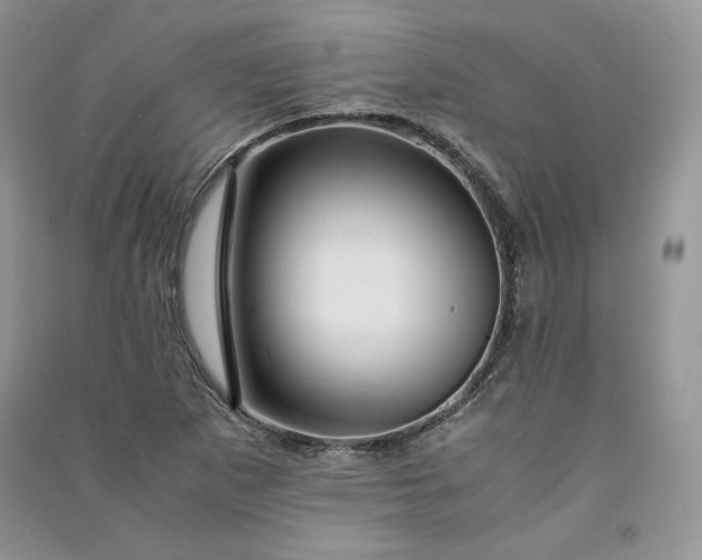 X0000090901265200708131345