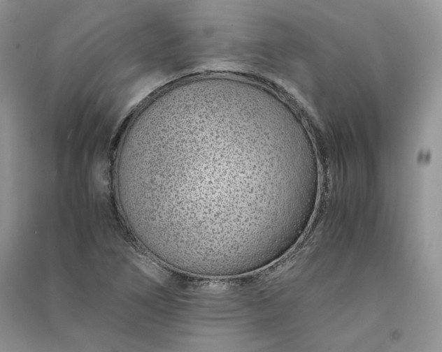 X0000090901266200708131345