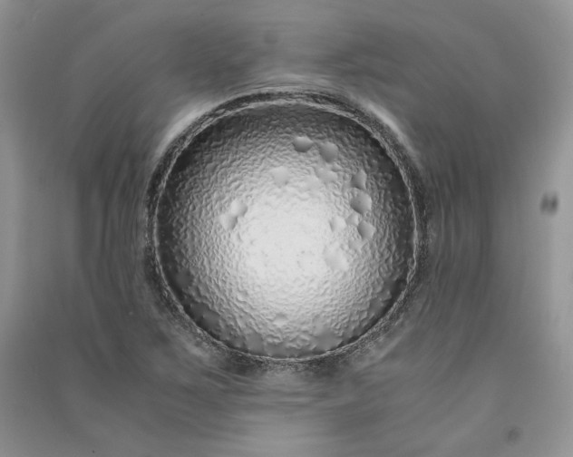 X0000090901267200708131345