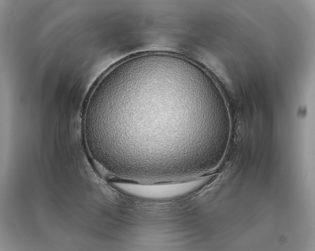 X0000090901268200708131345