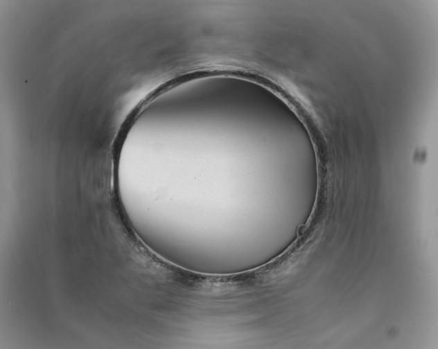 X0000090901269200708131345