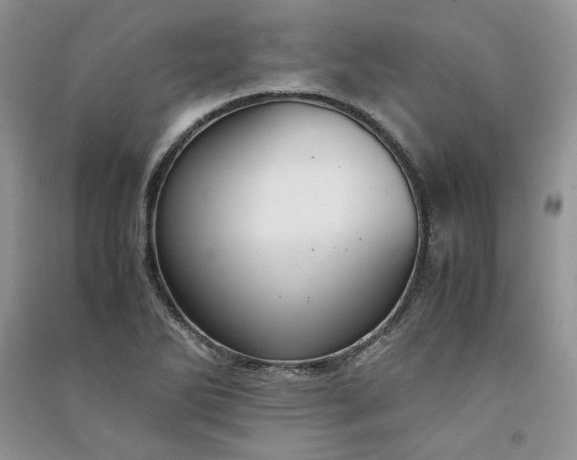 X0000090901270200708131345