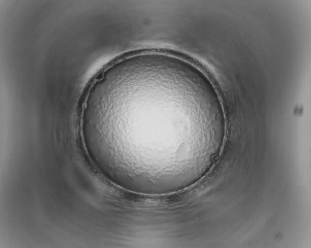 X0000090901271200708131345