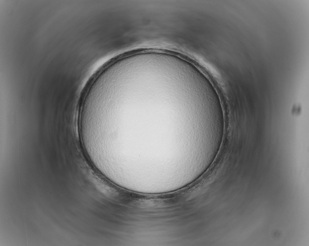 X0000090901272200708131345