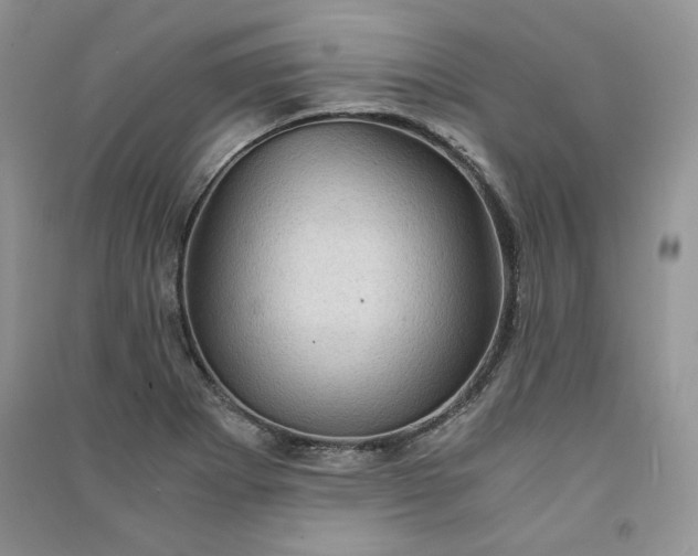 X0000090901273200708131345