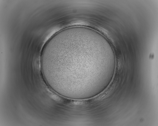 X0000090901274200708131345