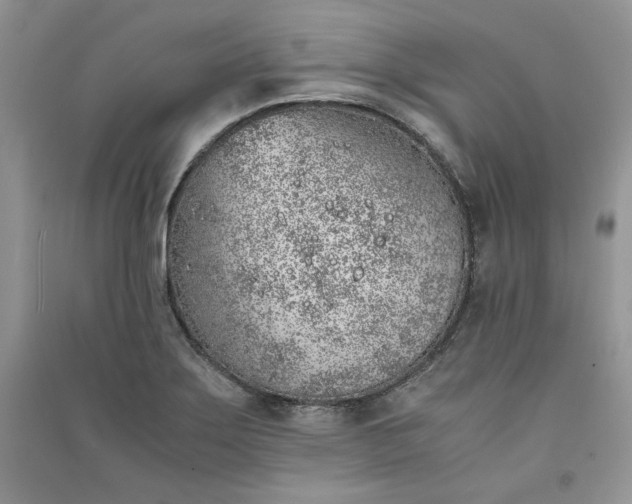 X0000090901275200708131345