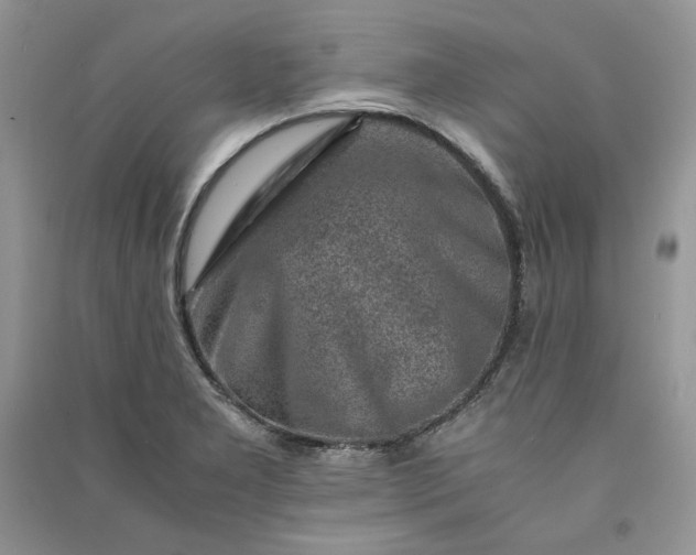 X0000090901277200708131345