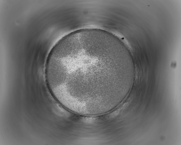 X0000090901278200708131345
