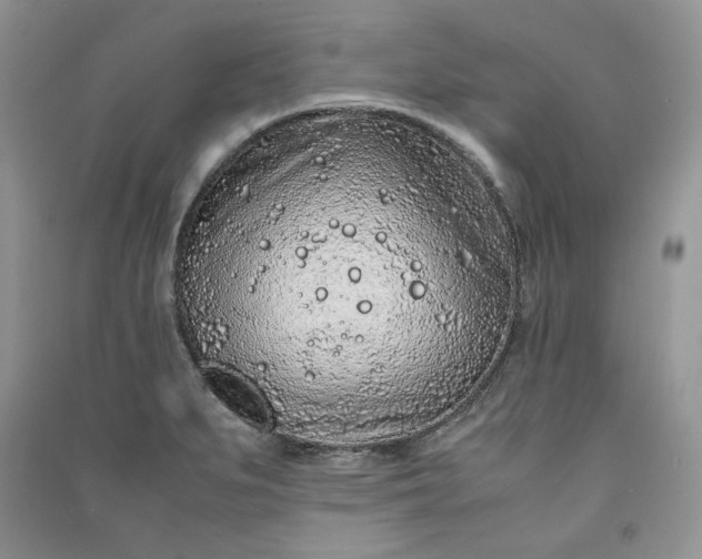 X0000090901279200708131345