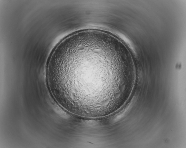 X0000090901280200708131345