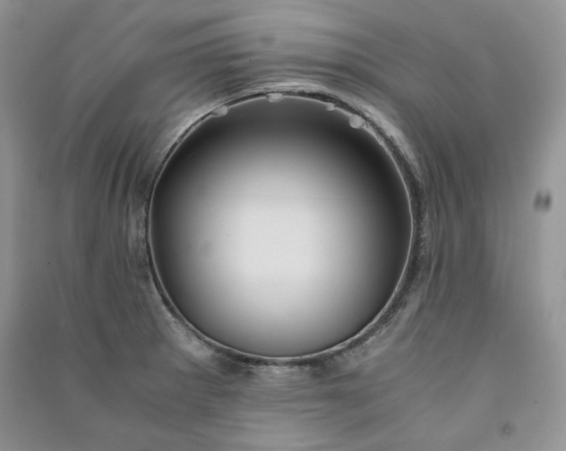 X0000090901281200708131345