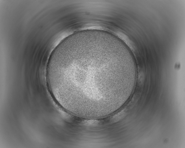 X0000090901282200708131345