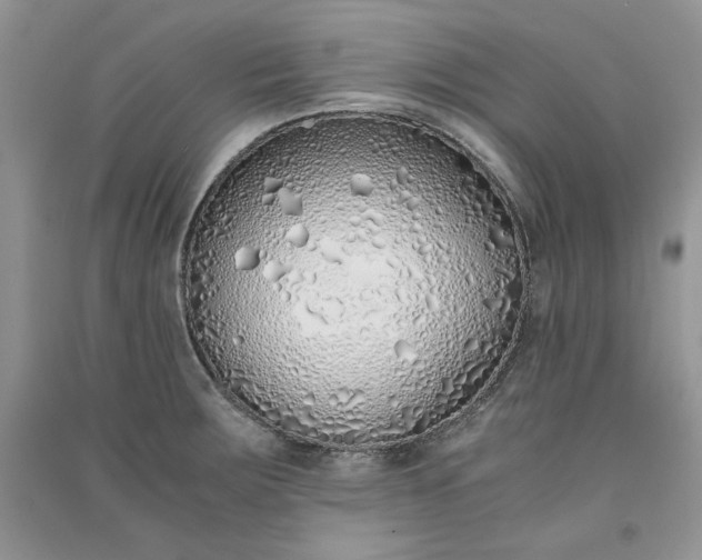 X0000090901283200708131345