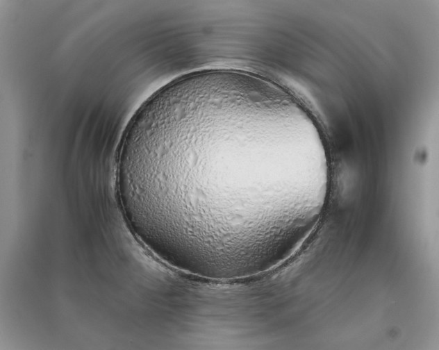 X0000090901284200708131345