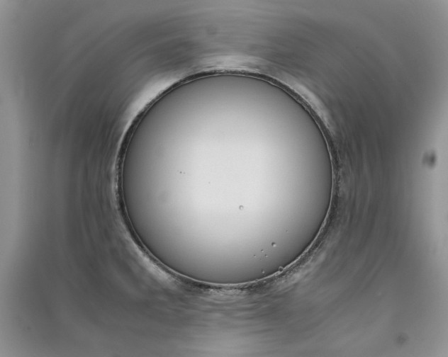 X0000090901285200708131345