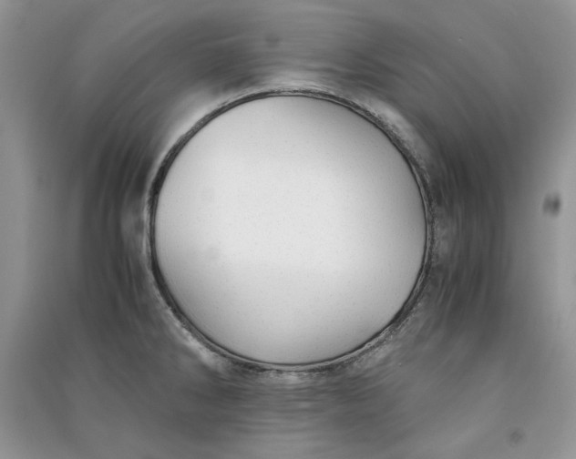 X0000090901286200708131345