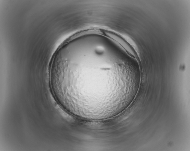 X0000090901287200708131345