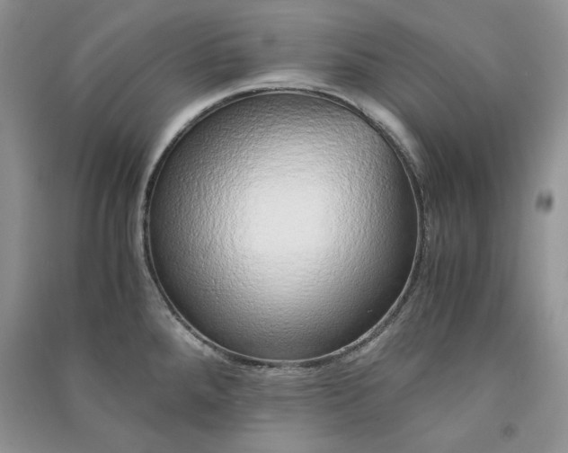 X0000090901288200708131345