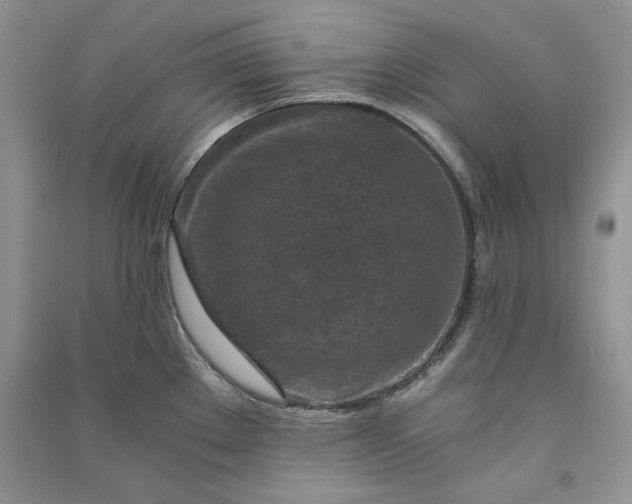 X0000090901289200708131345
