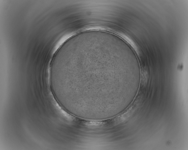 X0000090901290200708131345