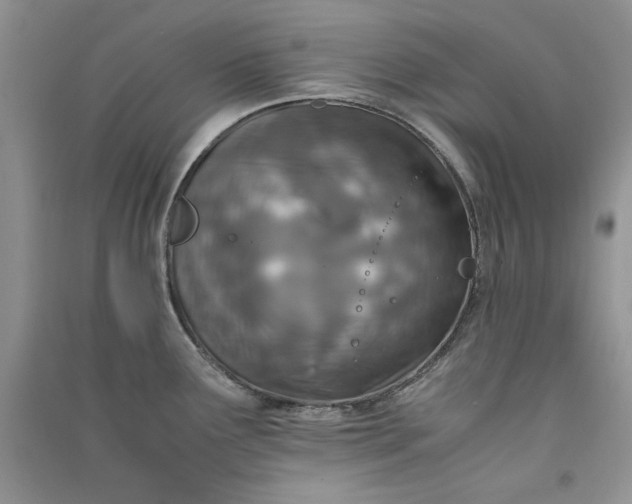 X0000090901291200708131345