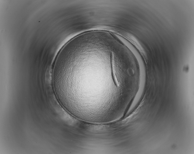 X0000090901292200708131345