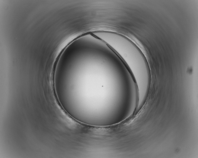 X0000090901293200708131345