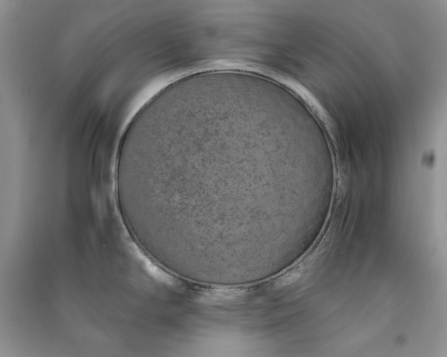 X0000090901294200708131345