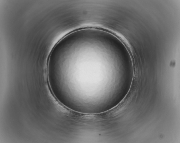 X0000090901295200708131345