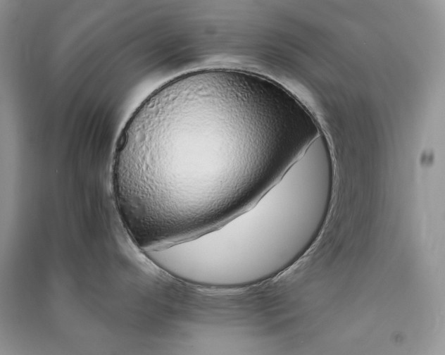 X0000090901296200708131345