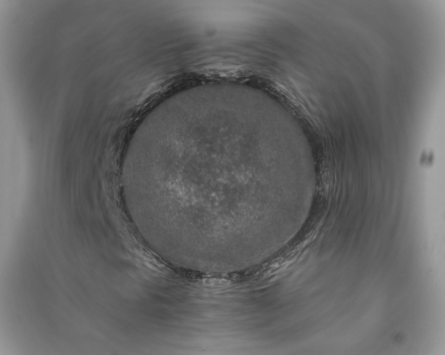 X0000090901297200708131344