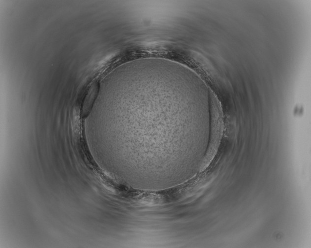 X0000090901298200708131344