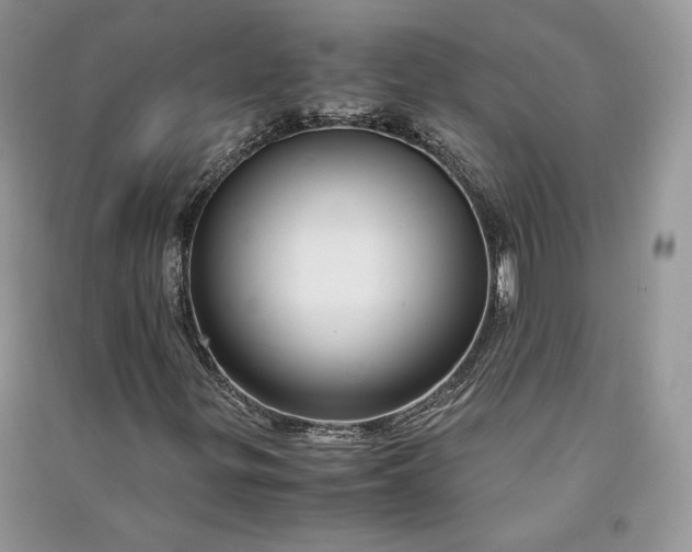 X0000090901299200708131344
