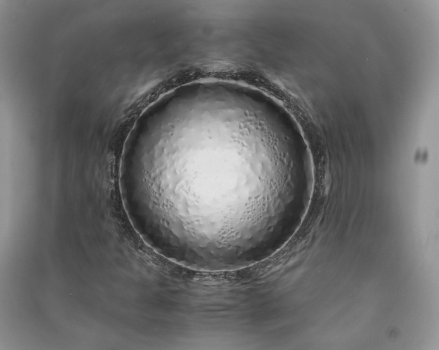 X0000090901301200708131344