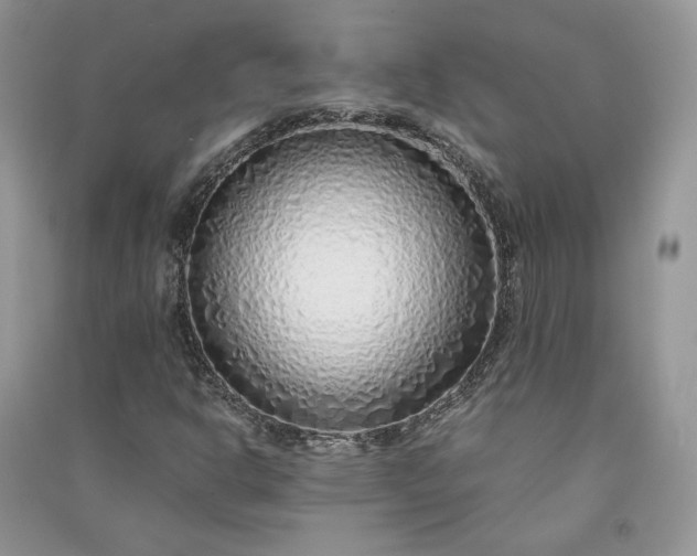 X0000090901302200708131344