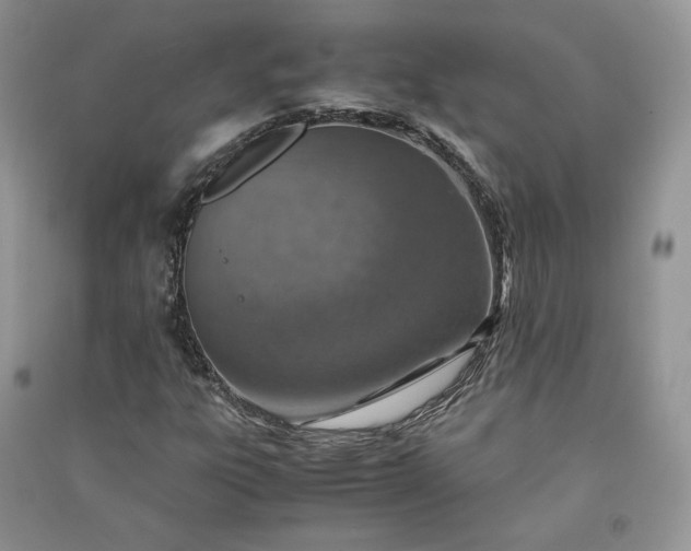 X0000090901303200708131344