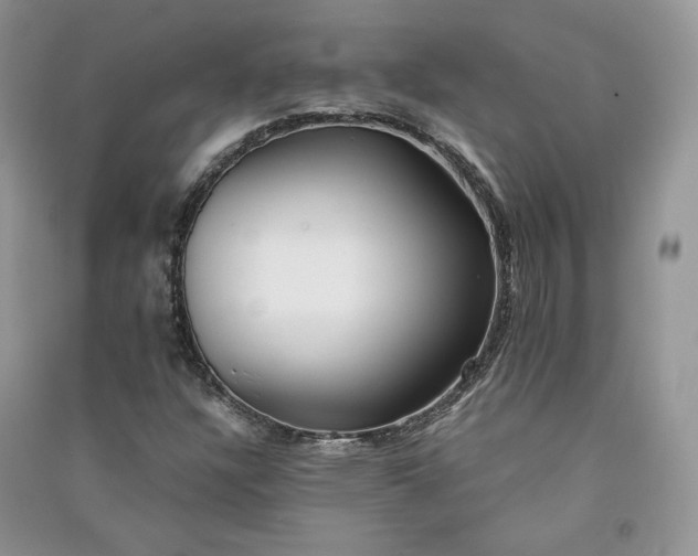 X0000090901304200708131344