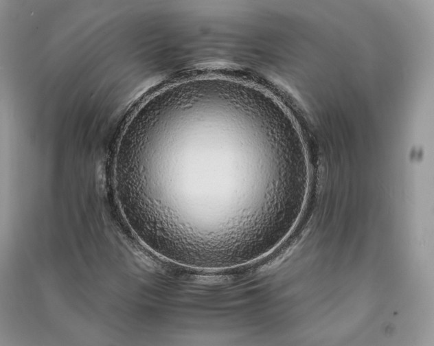 X0000090901305200708131344