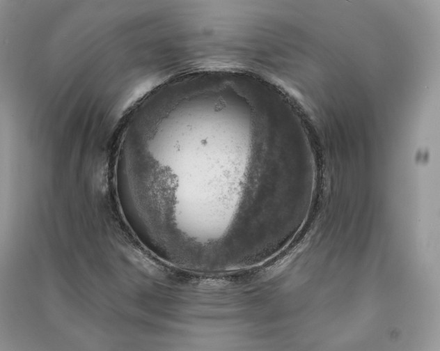 X0000090901306200708131344