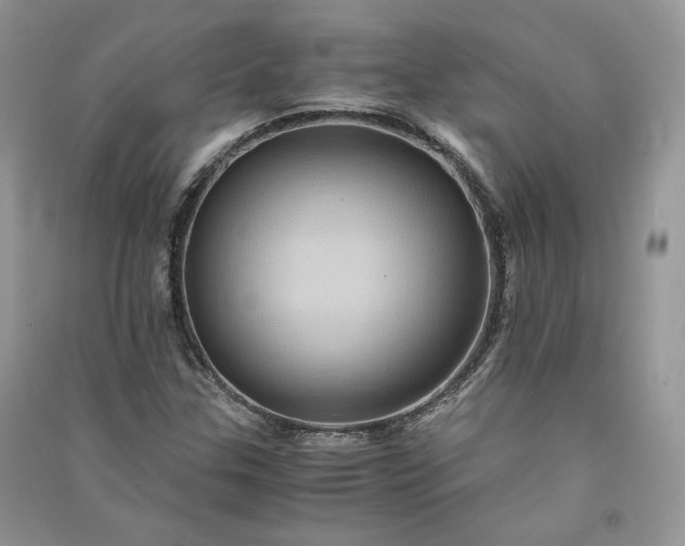 X0000090901307200708131344