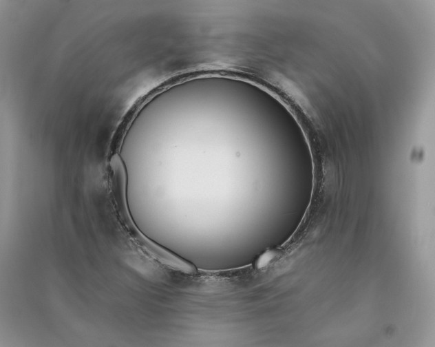 X0000090901308200708131344